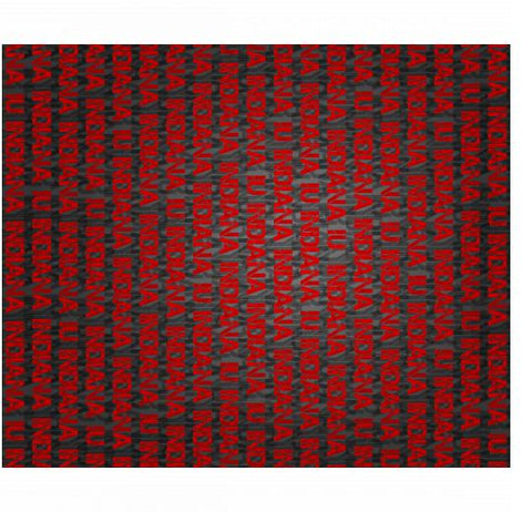 Velveteen Plush 50x60