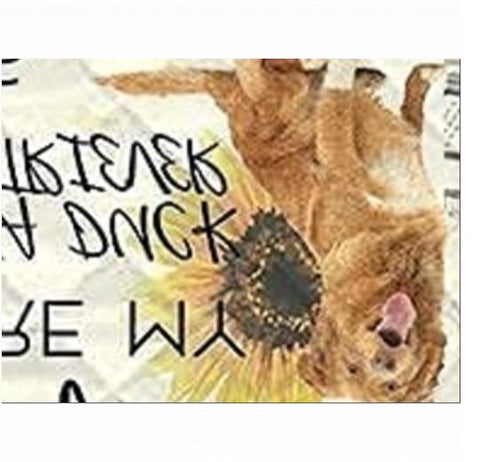 Velveteen Plush 60x80