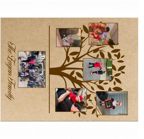 Velveteen Plush 60x80