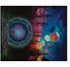 Velveteen Plush 50x60