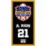 Premium Beach Towel - 30"x60"- Cotton Backing