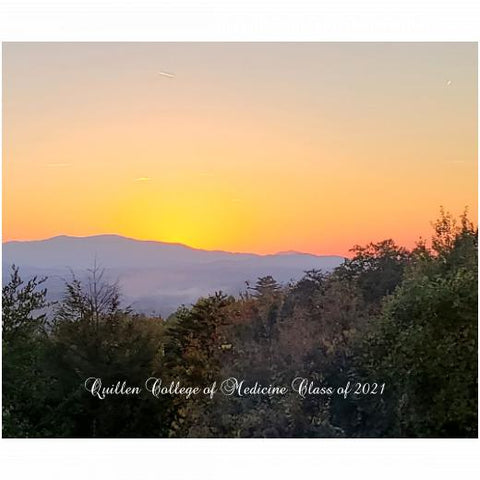 Velveteen Plush 50x60