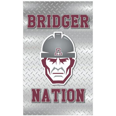 Premium Rally Hand Towel - 11″x18″ - Cotton Backing