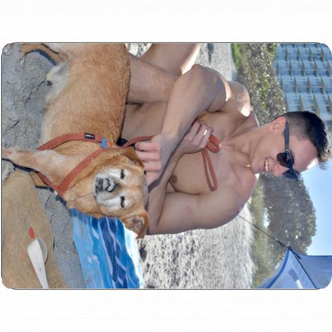 Sherpa Blanket 60x80