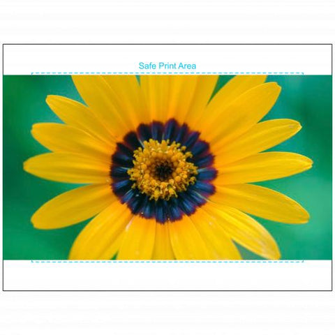 Velveteen Plush 30x40