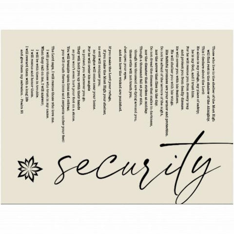 Velveteen Plush 60x80