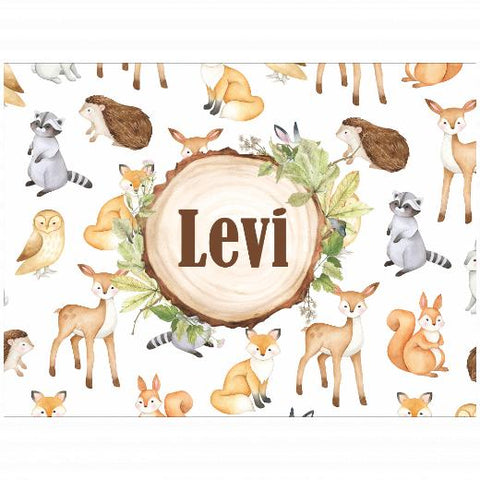 Velveteen Plush 30x40