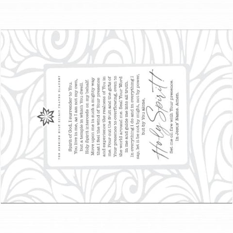 Velveteen Plush 60x80