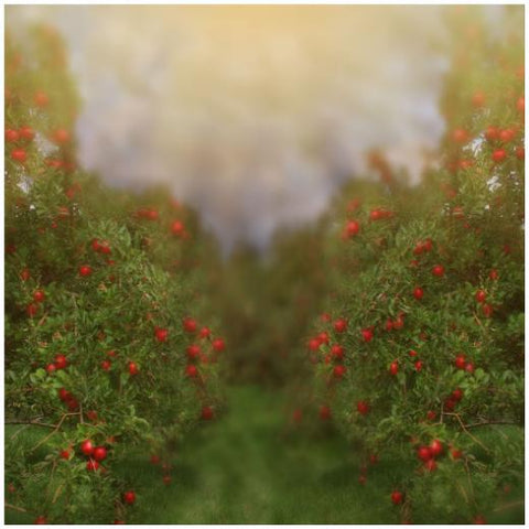 Fleece Backdrop - 8FTx8FT