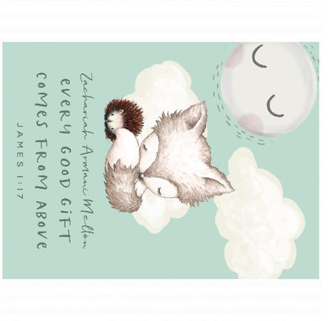 Velveteen Plush 30x40