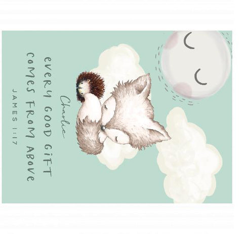 Velveteen Plush 30x40