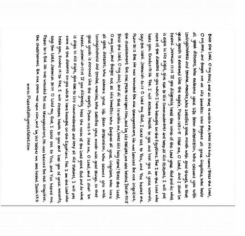 Velveteen Plush 60x80