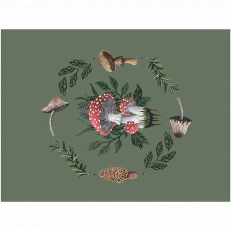 Velveteen Plush 60x80