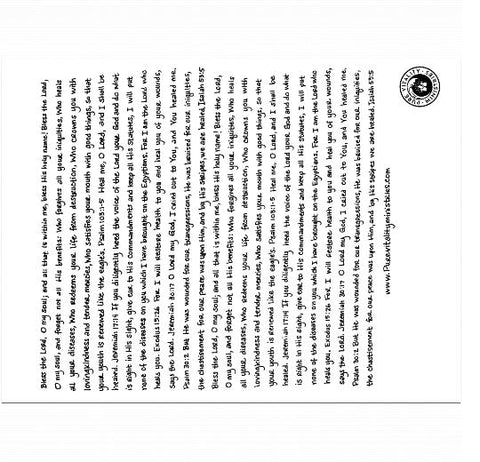 Velveteen Plush 60x80