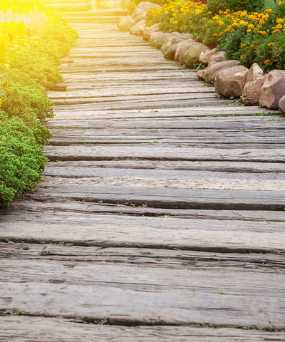 Stretch Backdrop - 5FTx8FT