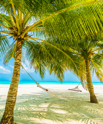 Stretch Backdrop - 50x60 (4FTx5FT)