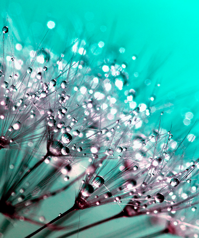 Fleece Backdrop - 8FTx10FT