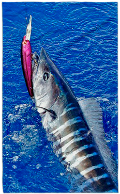 Premium Rally Hand Towel - 11"x18" - Cotton Backing